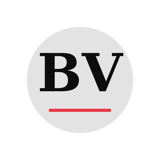 Blue View Dryer Cleaning Services logo